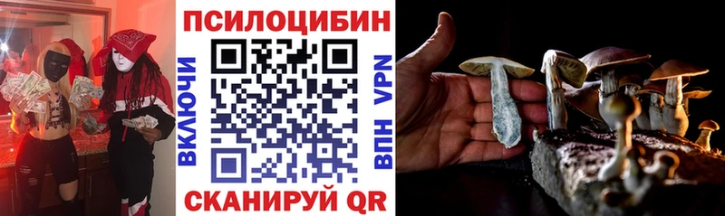 наркота  Николаевск-на-Амуре  маркетплейс клад  Галлюциногенные грибы Psilocybe 